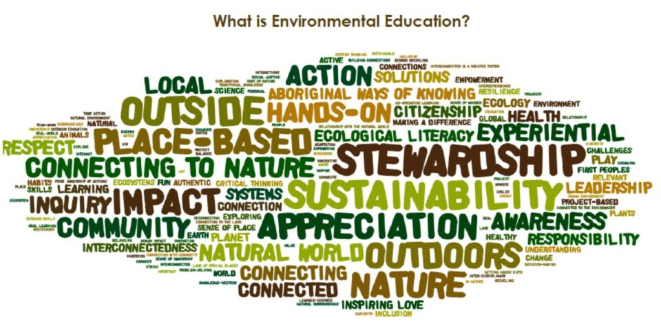  A word cloud shows the essential words and phrases related to environmental education campaigns.